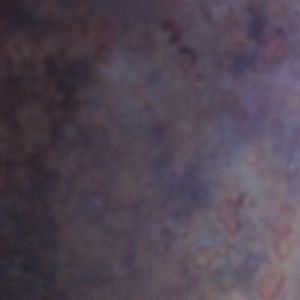 Meet your Posher, Troy