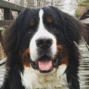 Meet your Posher, Jodi