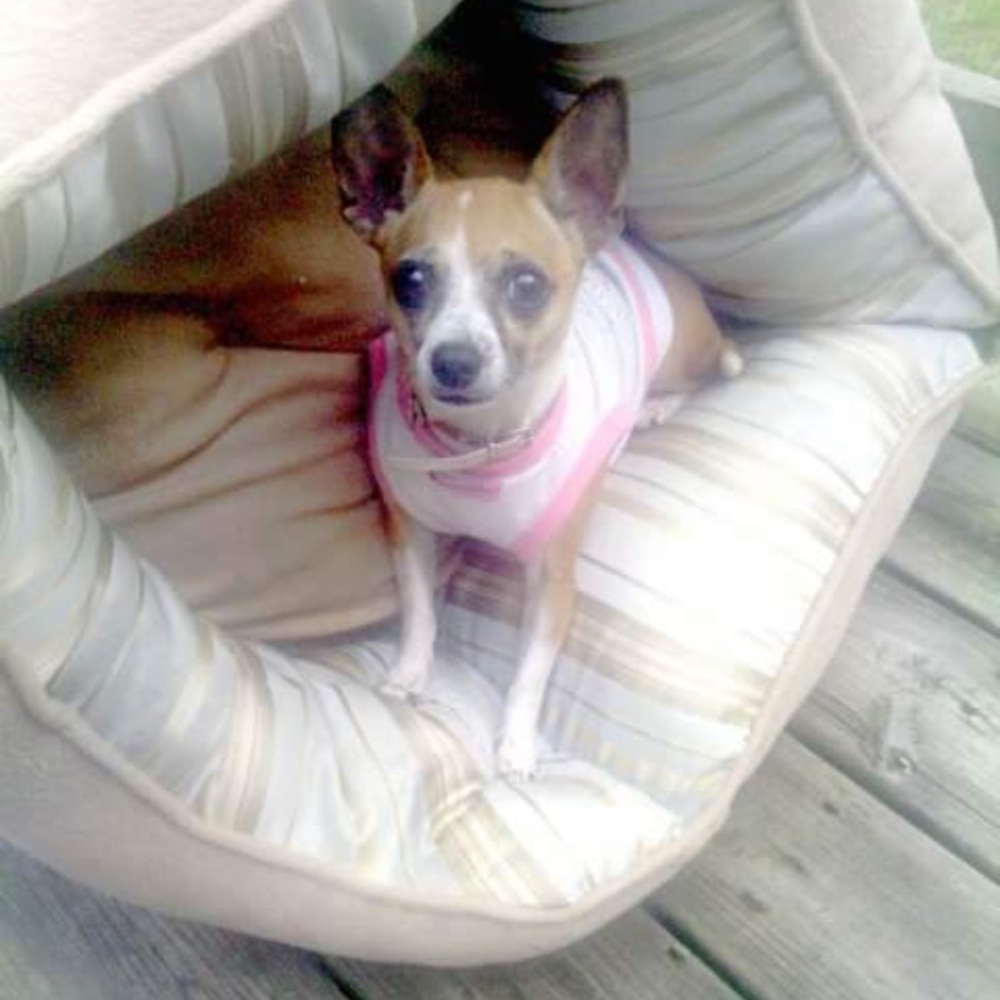 Meet your Posher, Shakia