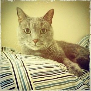 Meet your Posher, Mark