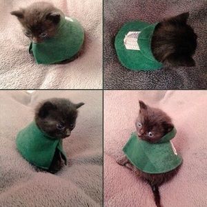 Meet your Posher, Miguel