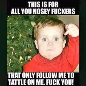 Meet your Posher, Ben