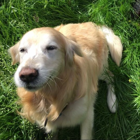 Meet your Posher, Nathan - Picture 1 of 1