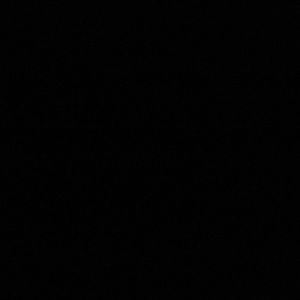 Meet your Posher, Allie