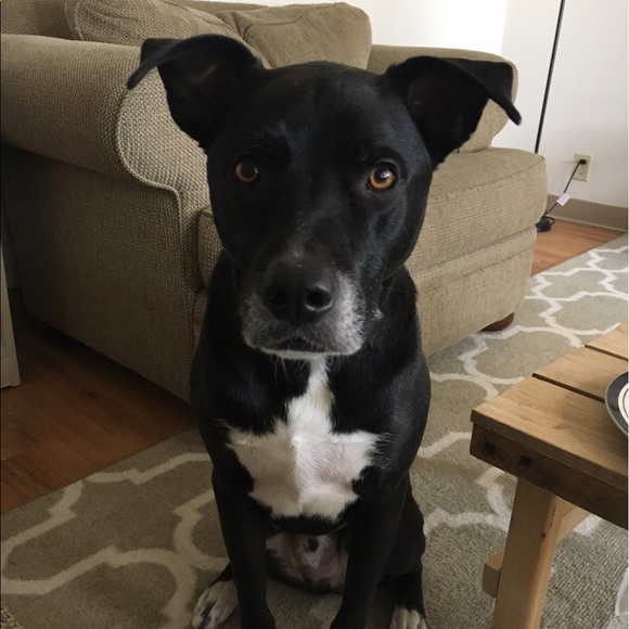 Meet your Posher, Melanie - Picture 1 of 1