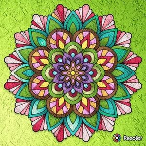 Meet your Posher, Morgan