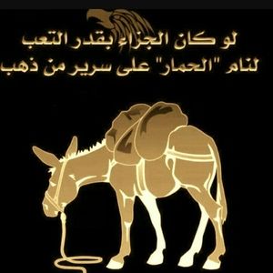 Meet your Posher, Moe