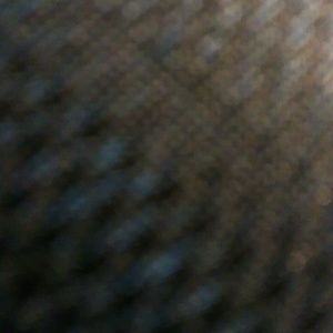 Meet your Posher, Warren