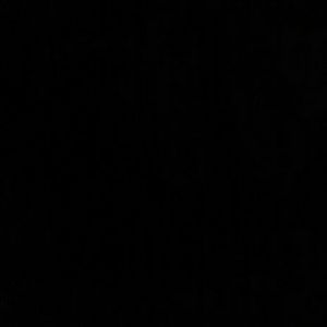 Meet your Posher, Carmen