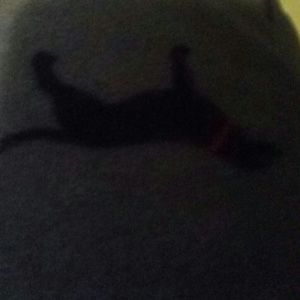 Meet your Posher, Bradley