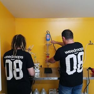 Meet your Posher, Joey