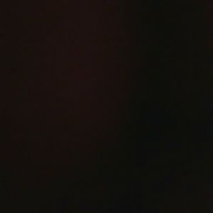 Meet your Posher, Shirlene