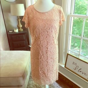 Loft Pink Lace Dress NWT