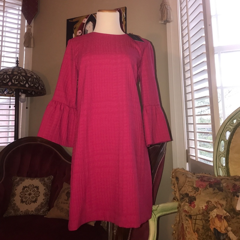 NWT Zara dress.  Pink/magenta.  Sz small.