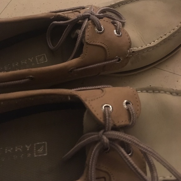Sperry top spiders - Picture 3 of 4