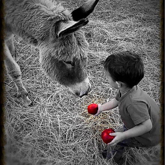 Meet your Posher, Laura - Picture 1 of 1