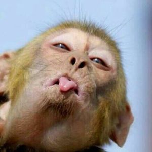 Meet your Posher, Roger