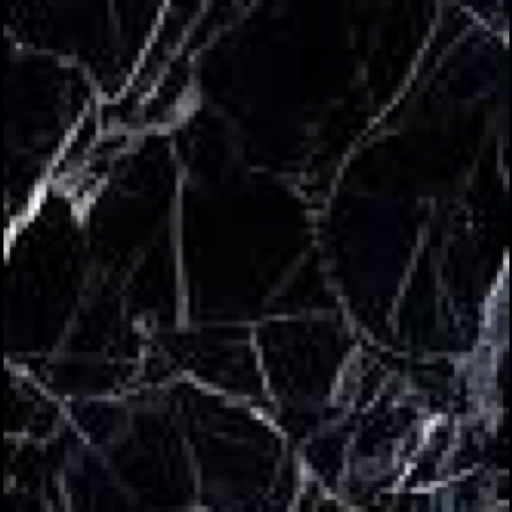 Meet your Posher, Lupita