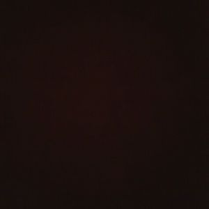 Meet your Posher, Abigail