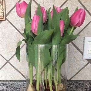 Meet your Posher, Cherish