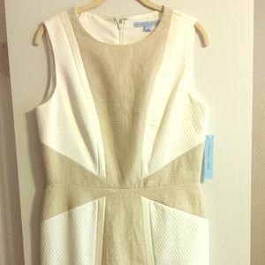 NWT! Antonio Melani "Mario Dress". Size 8.