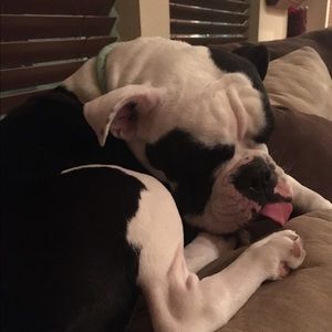 Meet your Posher, Teri