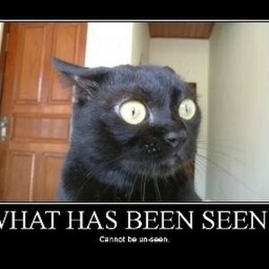 Meet your Posher, Mitch