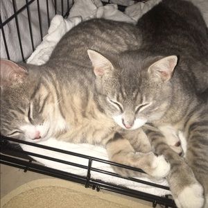 Meet your Posher, Lexie