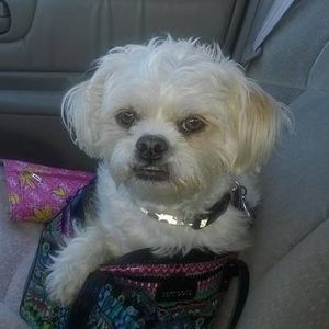 Meet your Posher, Barbara