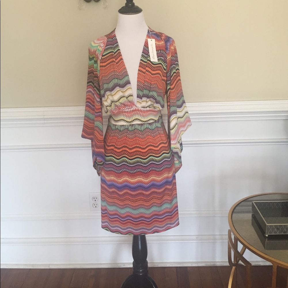 Gorgeous brand new T Bags dress!