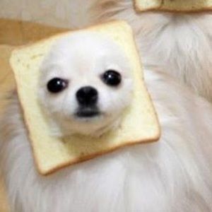 Meet your Posher, Tommy