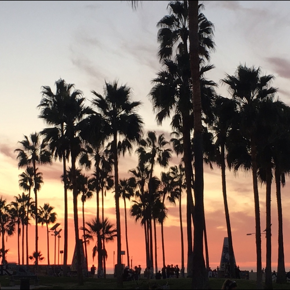 Meet your Posher, TJ