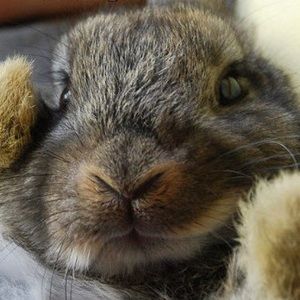 Meet your Posher, Kendall