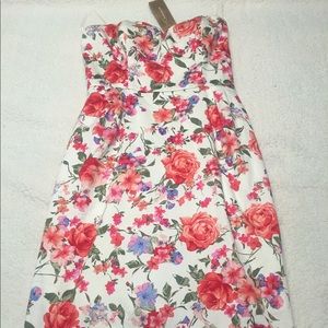NWT floral dress Francesca's Collection L