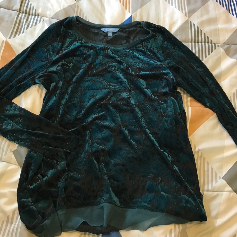 Beautiful Velvet Sheer top