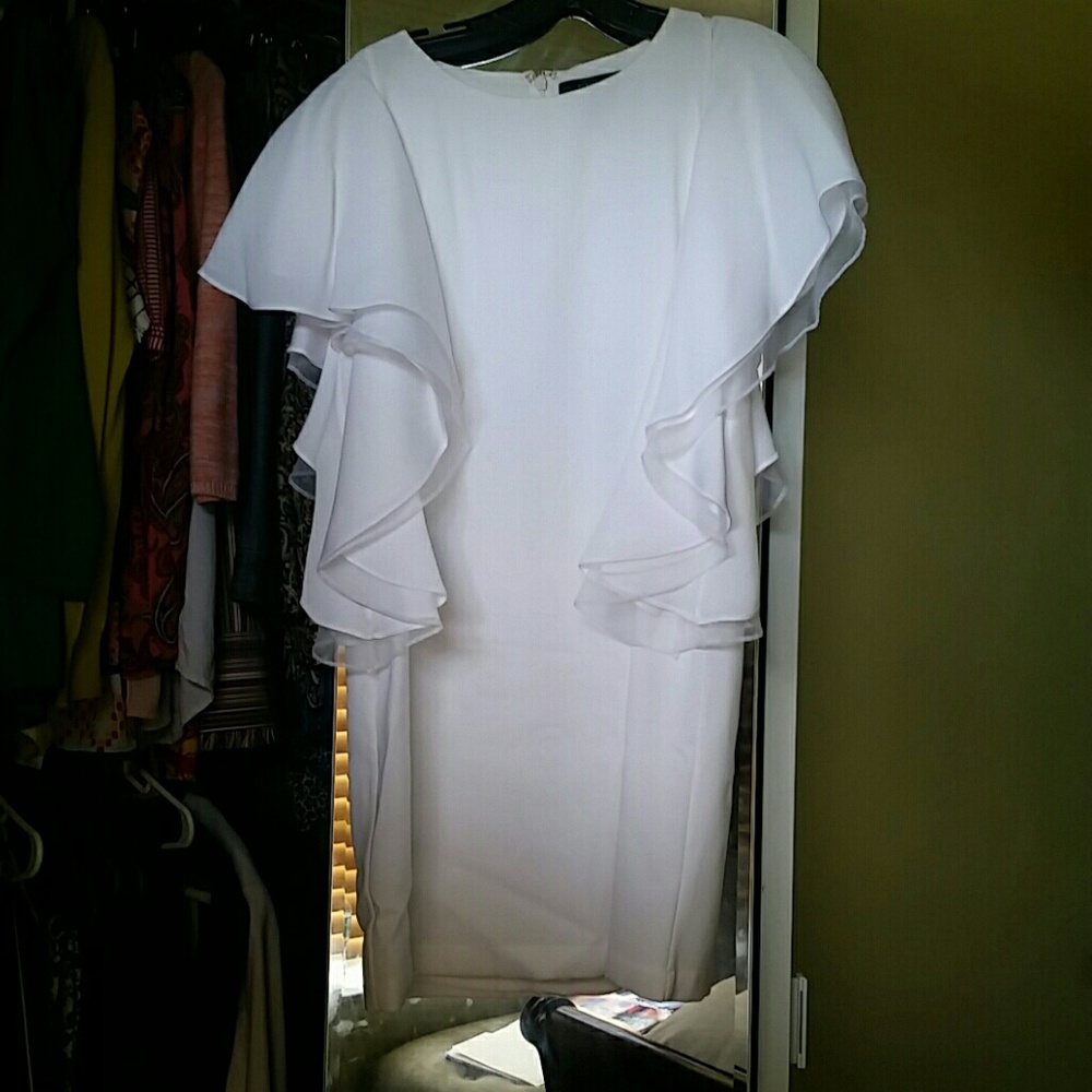 BCBG Solace Ruffle Sleeve Dress
