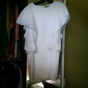 BCBG Solace Ruffle Sleeve Dress