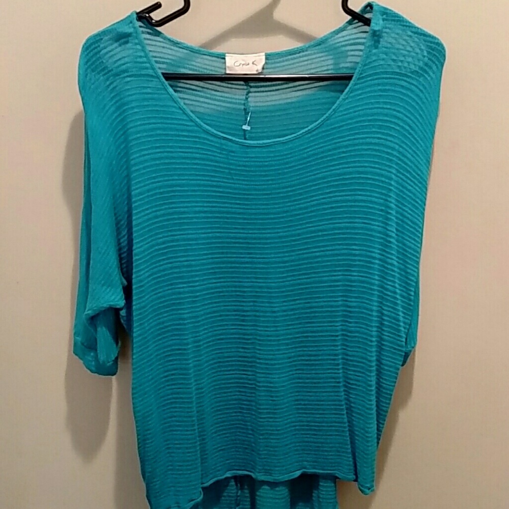 Blue Sheer Top