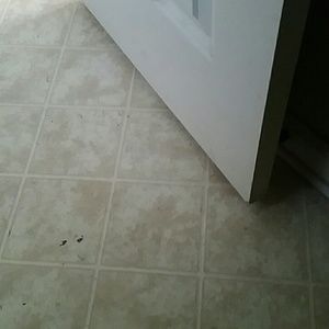 Meet your Posher, Terence