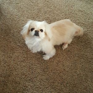 Meet your Posher, Barbara