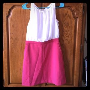 NWT LOFT skirt dress.