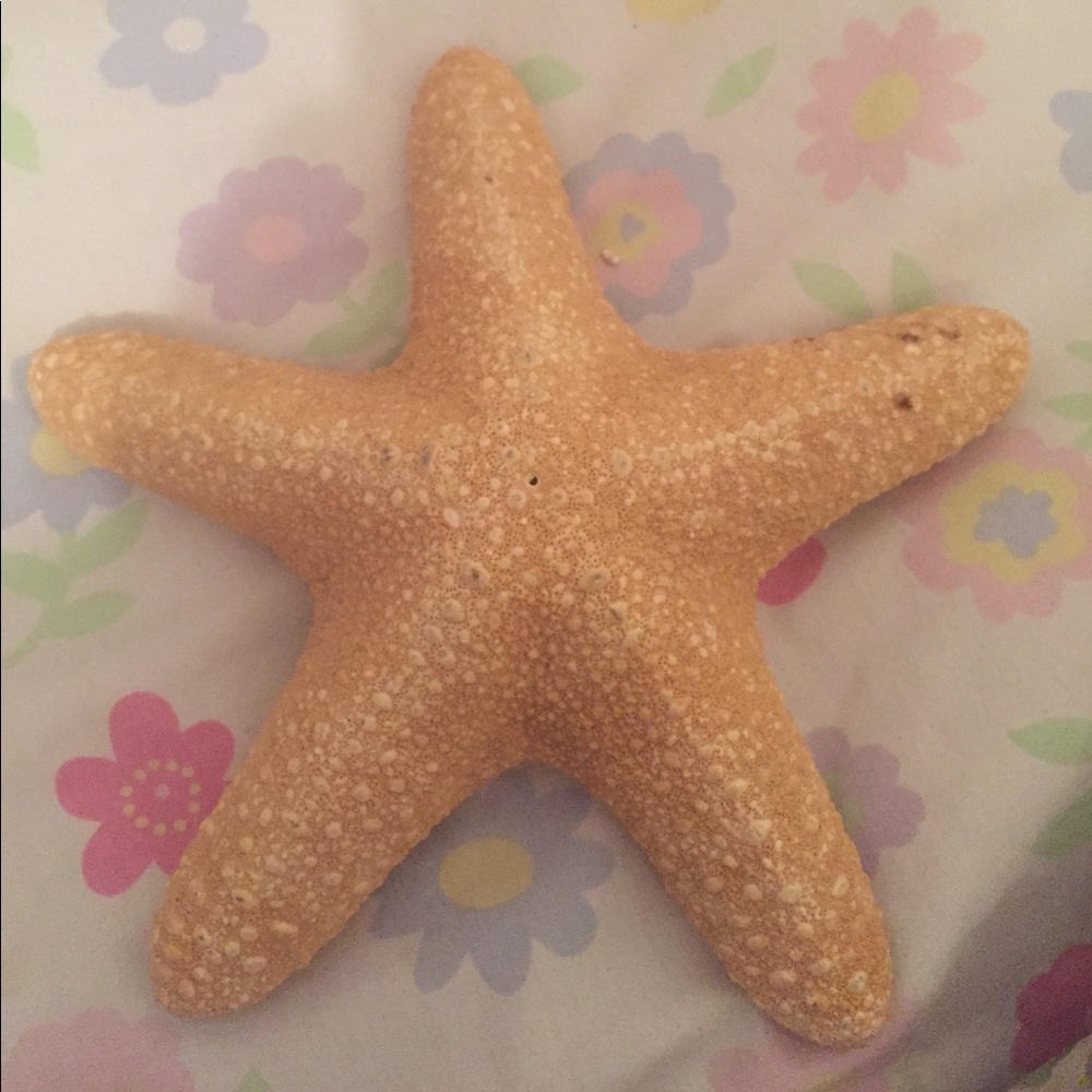 Real Starfish