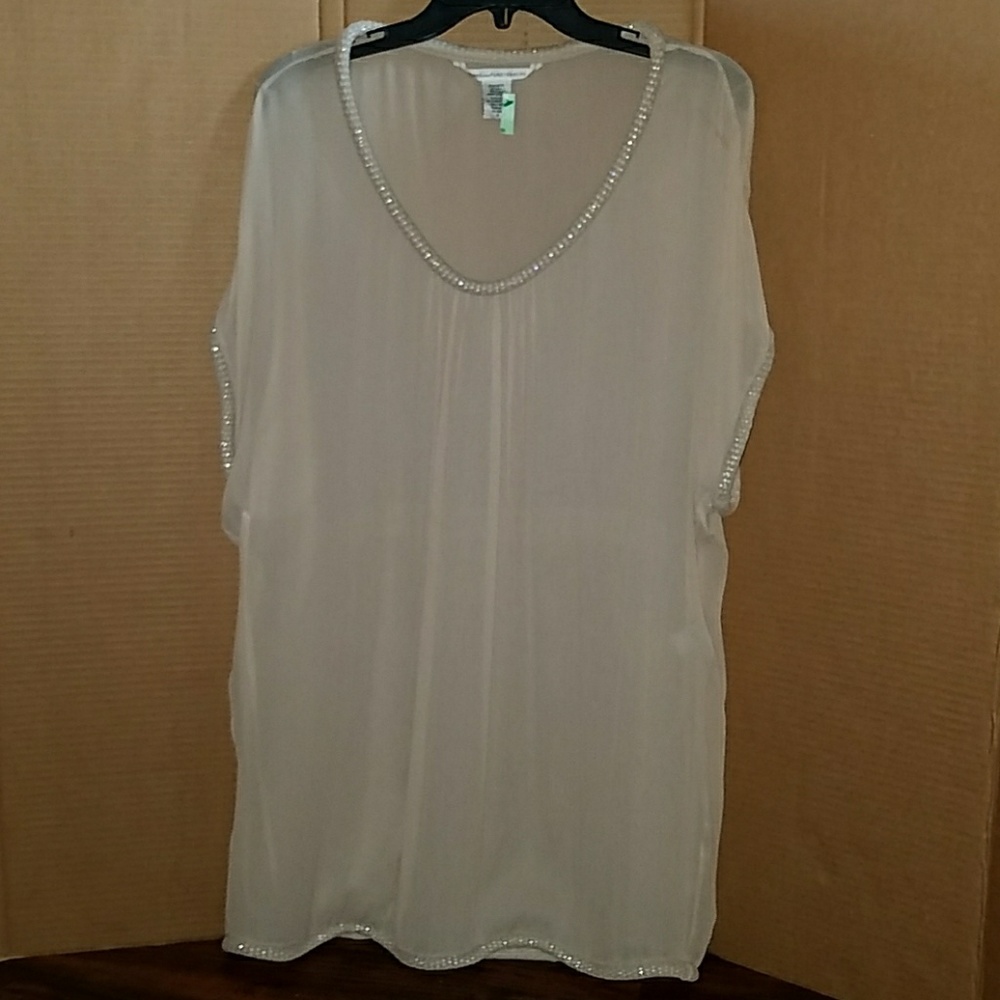 Sheer silk dress!