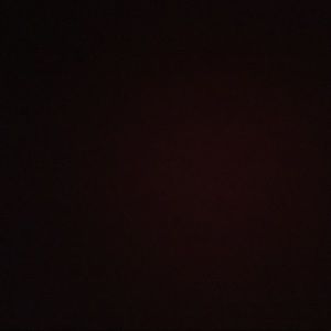 Meet your Posher, Jake