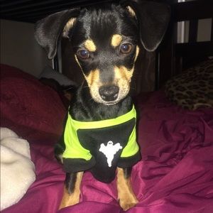 Meet your Posher, Sandy