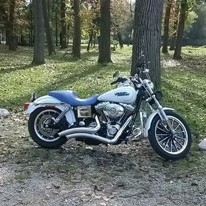 Meet your Posher, Curt