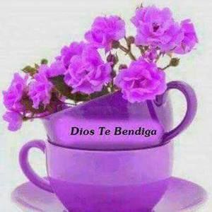 Meet your Posher, Mauri