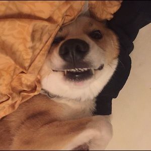 Meet your Posher, Edgar