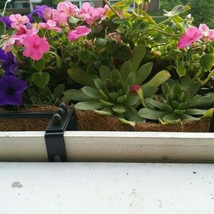 Meet your Posher, Sylvia