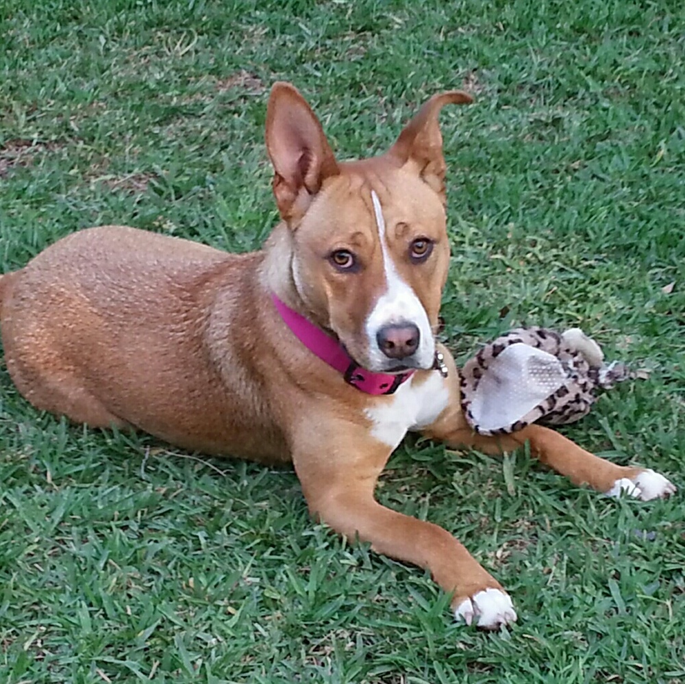 Meet your Posher, Norma